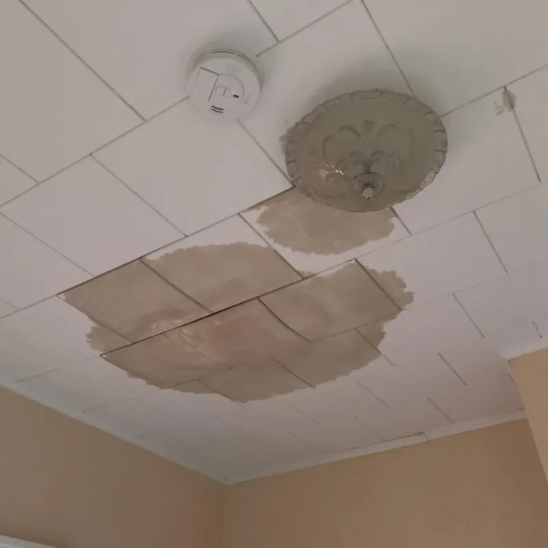 Ceiling Water Damage Repair in Dunn, NC