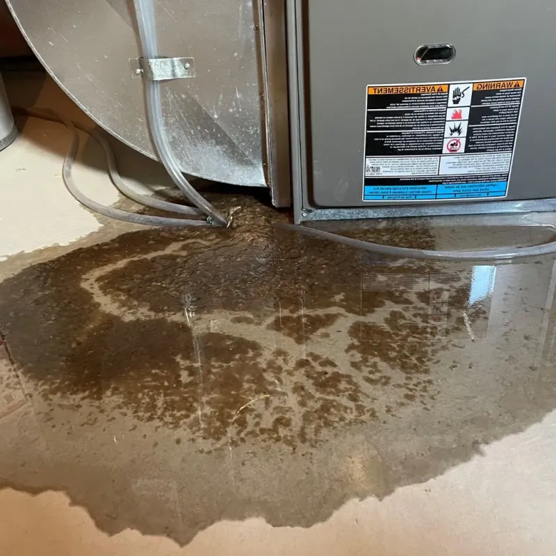 Pipe Burst and Leak Restoration in Dunn, NC
