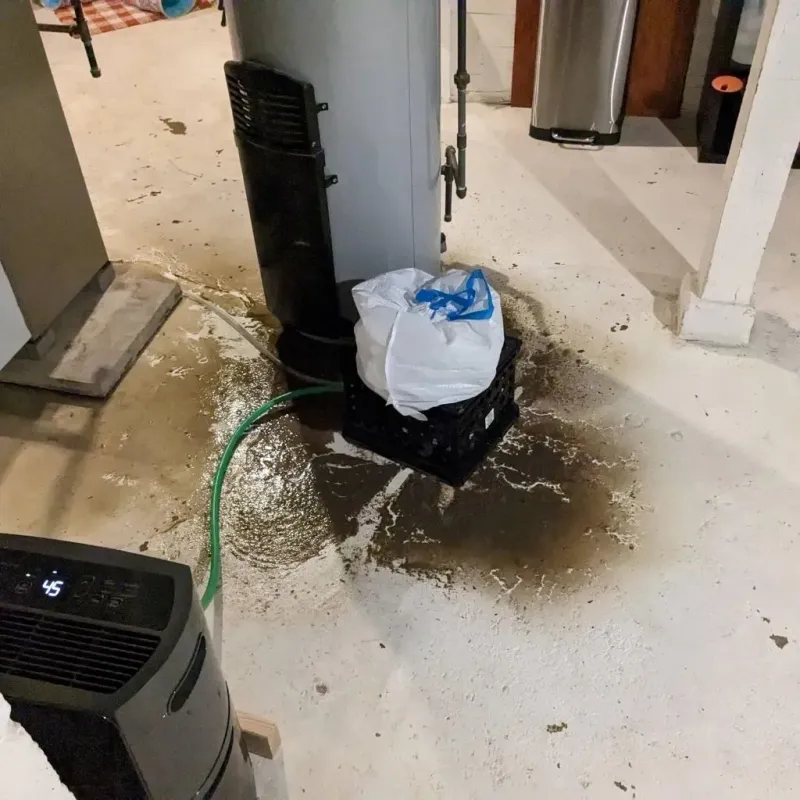 Sewage Backup Cleanup Service in Dunn, NC
